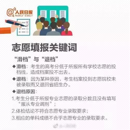 紅姐論壇資料大全,紅姐論壇資料大全，深度解析與綜合指南