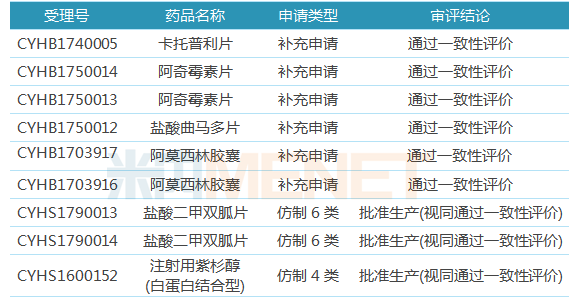 澳門(mén)特馬今期開(kāi)獎(jiǎng)結(jié)果2025年記錄,澳門(mén)特馬今期開(kāi)獎(jiǎng)結(jié)果及未來(lái)展望，聚焦2025年記錄