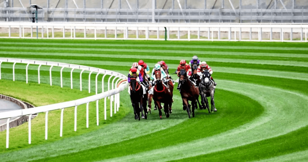 930香港馬精準(zhǔn)資料,香港賽馬精準(zhǔn)資料，探索930賽事的奧秘