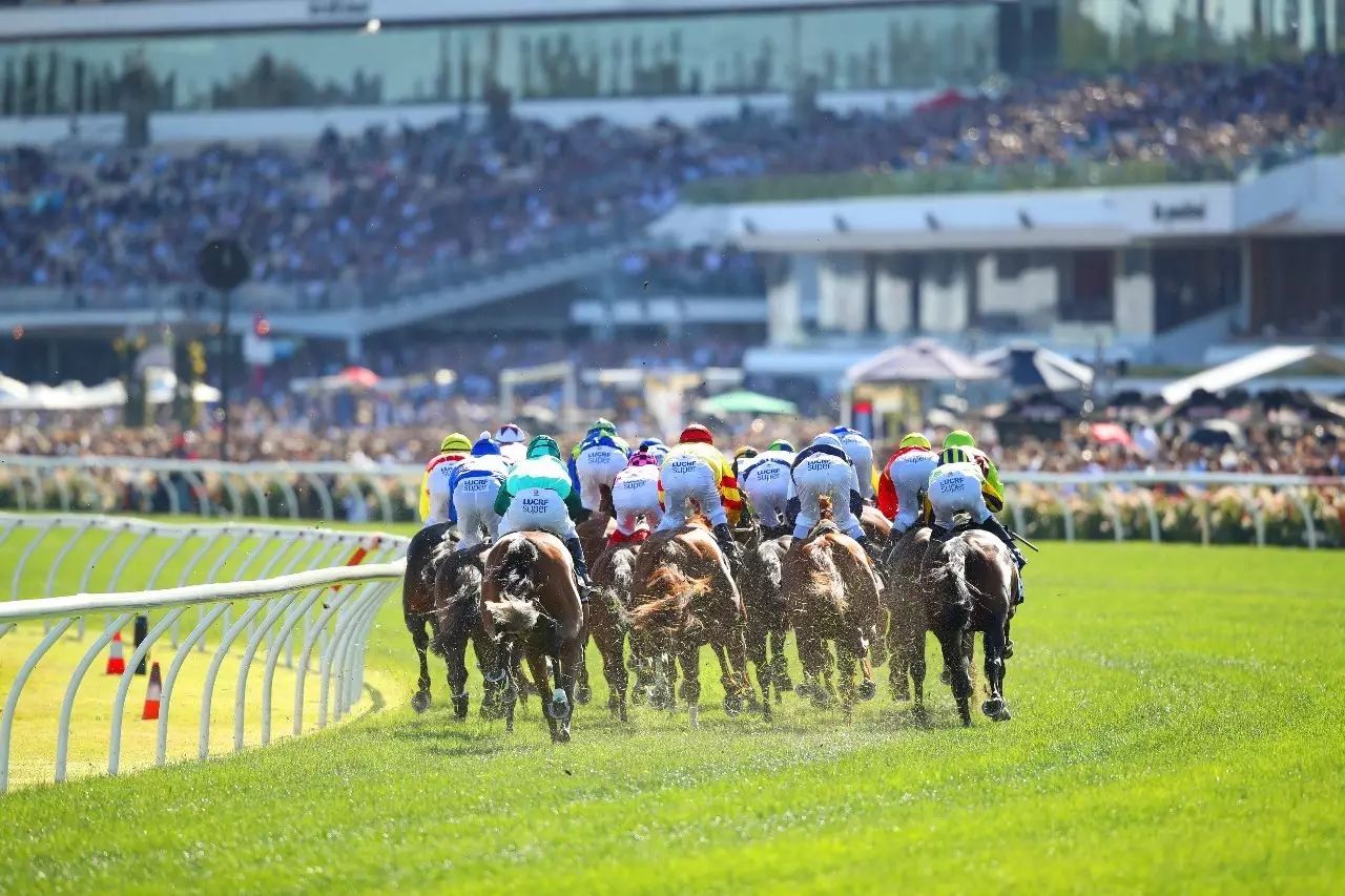 新澳今天開什么特馬,新澳今日賽馬盛況，探尋特馬開賽精彩瞬間