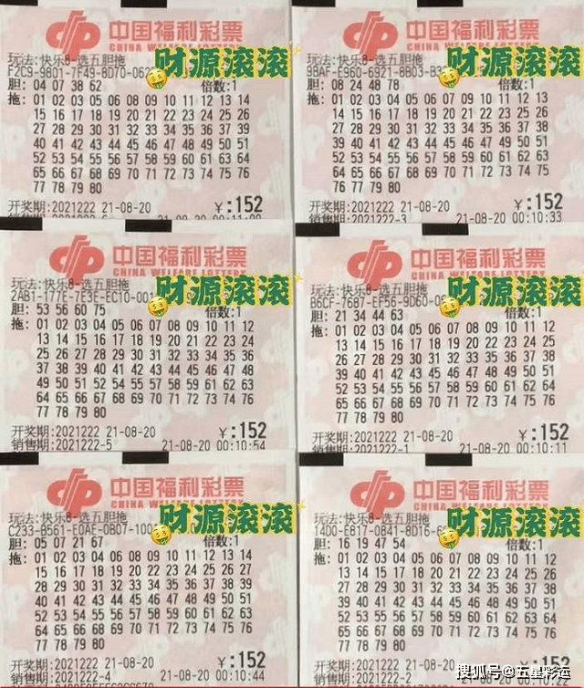 澳門今晚必開一肖,澳門今晚必開一肖，探索生肖彩票的魅力與理性投注的重要性