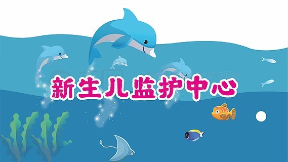 小魚兒玄機(jī)二站資料提供資料,小魚兒玄機(jī)二站資料深度解析與資料提供