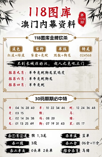 494949澳門今晚開什么,澳門今晚開什么——探索與期待