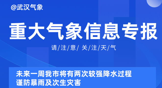 新奧精準(zhǔn)資料免費(fèi)提供510期,新奧精準(zhǔn)資料免費(fèi)提供第510期深度解析與應(yīng)用指南