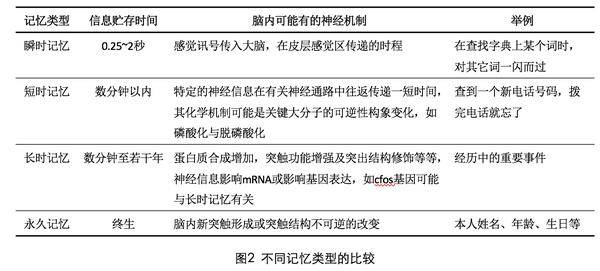 二四六香港全年免費(fèi)資料說明,二四六香港全年免費(fèi)資料說明，獲取與使用指南