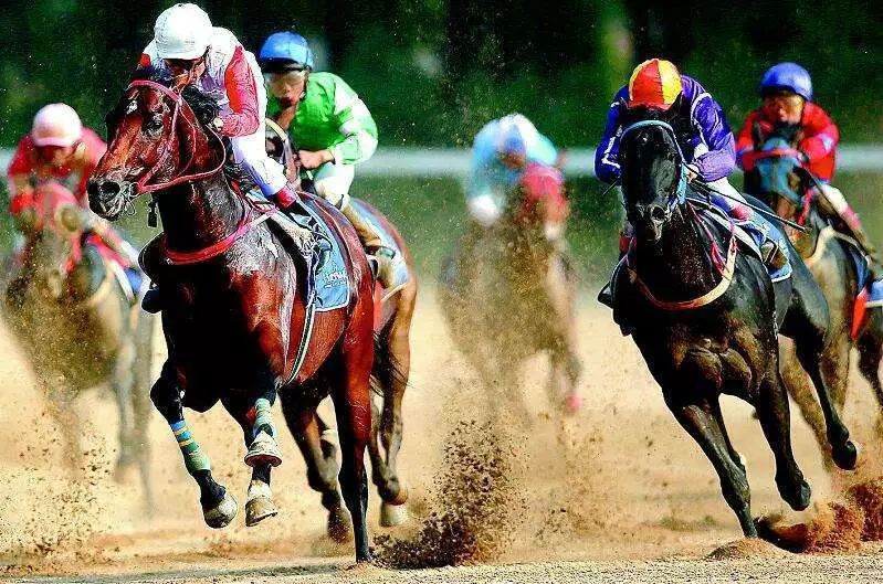 今晚澳門馬出什么特馬,今晚澳門馬會出什么樣的特馬？探索賽馬運動的神秘魅力與預(yù)測技巧