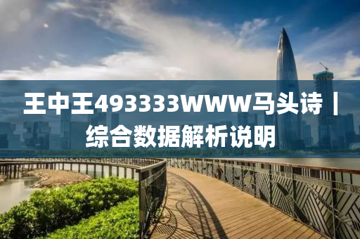 王中王493333WWW馬頭詩,王中王493333WWW馬頭詩，探尋神秘文化與詩意之美