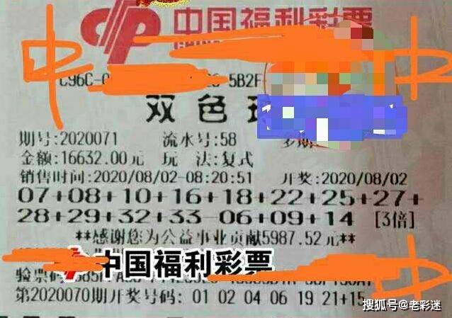 管家婆2025正版資料大全063期 02-06-11-14-32-46C：22,探索管家婆，正版資料大全深度解析與策略探討——以第063期為例