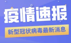 新澳精準(zhǔn)正版資料免費(fèi)119期 03-09-31-40-47-49Z：33,新澳精準(zhǔn)正版資料免費(fèi)分享，探索第119期的秘密與數(shù)字的魅力