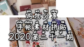 管家婆2025正版資料三八手083期 04-10-22-29-39-44E：41,探索管家婆2025正版資料三八手，深度解析與策略探討