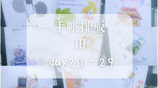 2025年管家婆的馬資料50期103期 07-22-29-33-34-38V：41,揭秘彩票背后的故事，探索管家婆的馬資料與神秘?cái)?shù)字組合