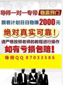 二四六天天好944cc彩資料全 免費一二四天彩004期 09-19-21-25-31-33Z：45,探索二四六天天好與彩資料全的免費世界，揭秘數(shù)字彩的秘密