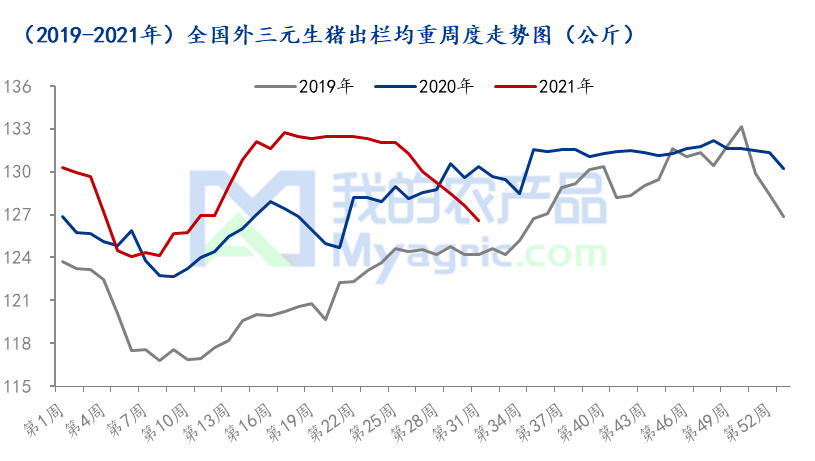 2025年3月1日 第7頁