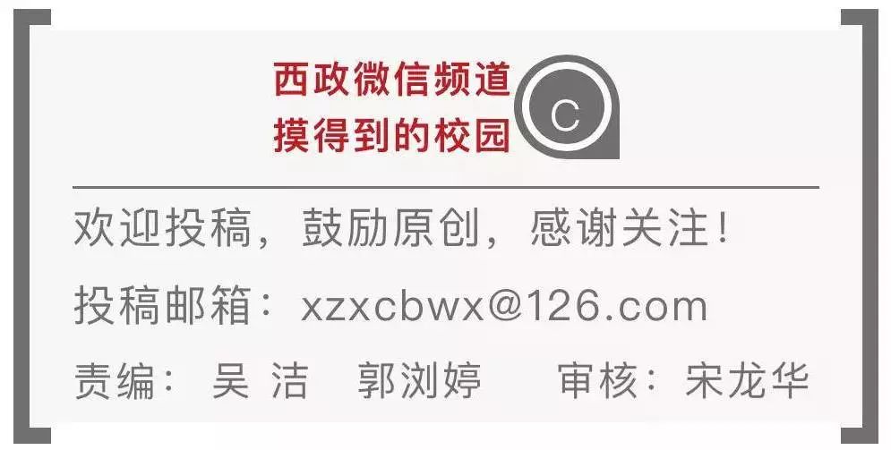 新奧門特免費資料大全今天的圖片103期 07-22-29-33-34-38V：41,新奧門特免費資料大全，探索與揭秘今天的圖片第103期（虛構(gòu)）