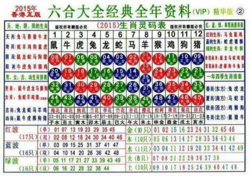 2025十二生肖49個碼004期 04-49-26-19-30-44T：10,探索十二生肖與彩票密碼，2025年49個碼期004的神秘面紗