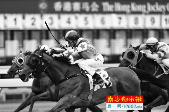 2024香港今期開獎號碼馬會090期 02-07-08-28-35-42L：26,探索香港馬會2024年今期開獎號碼，090期的神秘數(shù)字組合