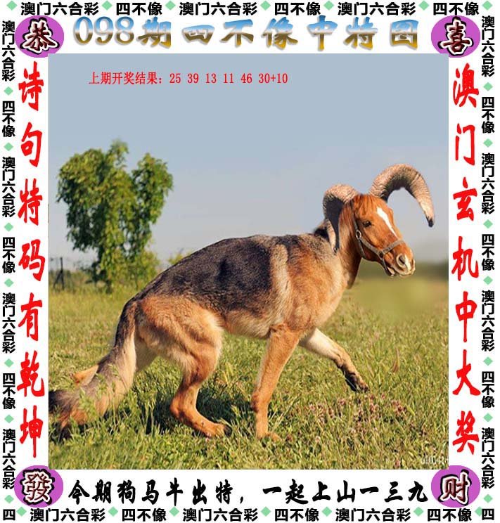 新澳2025今晚開獎(jiǎng)資料四不像005期 21-32-14-08-37-48T：03,新澳2025今晚開獎(jiǎng)資料四不像005期詳解與預(yù)測分析